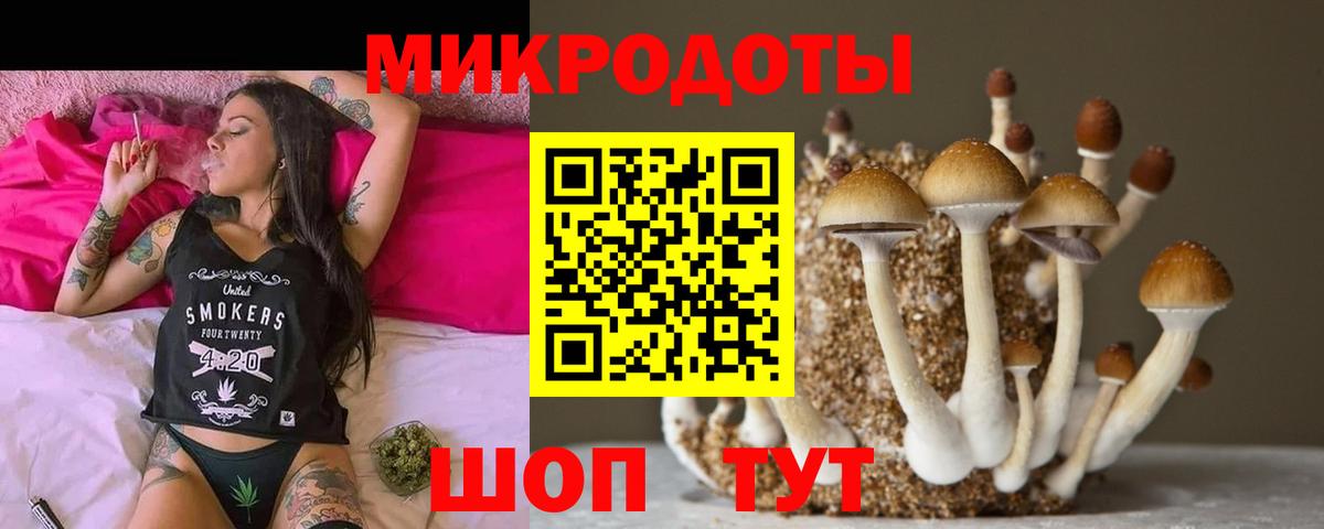 Галлюциногенные грибы ЛСД  Вход с VPN  Избербаш  Галлюциногенные грибы Psilocybe 